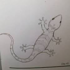 Daily Drawings Art Drawings Sketches Creative Pencil Drawings Animal Drawings