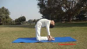 Camel Yoga Pose Ustrasana Steps Benefits Image And Video