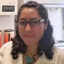 Gaceta DCBI-UAMI #10