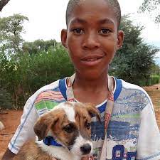 Maybe you would like to learn more about one of these? Nspca Project Adoptions Once Off Gift Donation To Support A Project