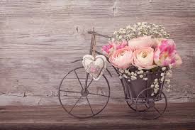 Check spelling or type a new query. Why Are Flowers So Expensive Top 10 Reasons