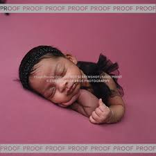 BBOS Client Galleries