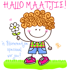 Hallo Maatjie N Blommetjie Spesiaal Vir Jou Afrikaanse Quotes Afrikaans Goeie More