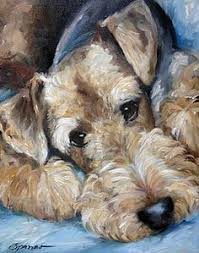 14515 raccoon ford road culpeper va 22701 us. 410 Airedale Terriers Ideas In 2021 Airedale Terrier Airedale Dogs Terrier