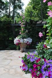 Dirt Simple Gardening And Landscape Blog By Deborah Silver Garden Containers Container Gardening Plants