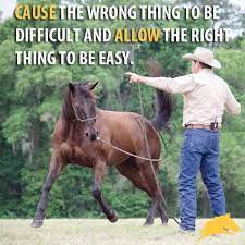  Cause The Wrong Thing To Be Difficult And Allow The Right Thing To Be Easy Patparelli Horses Inspirational Horse Quotes Horsemanship Quotes
