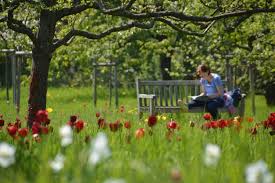 Noch in den frühen 80er jahren waren an dieser stelle vor allem eingang mohriner allee: Britzer Garten Sightseeing Berlin