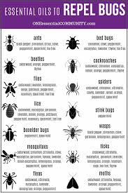 Isman mb (2000) plant essential oils for pest and disease management. Top 10 Essential Oils That Repel Bugs Bug Spray Recipe Diffuser Blends And More Diy Recipes To Naturally Keep Bugs Away One Essential Community