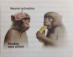 This ironic dank meme is perfect for sarcastic individuals who love monkeys. Reject Humanity Return To Monke 9gag
