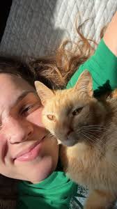 Pyrenees/Anatolian mix dog for adoption