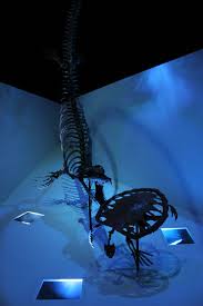 If you only have time for one, make it the houston museum of natural science with incredible exhibits on paleontology, egypt, gems, malacoloy. Paleontology Gallery Thenaturalworldconnections