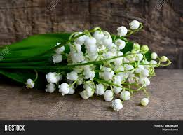 We did not find results for: Bouquet Lilies Valley Image Photo Free Trial Bigstock