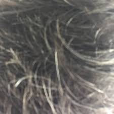 New looks hair salon sugar land •. New Looks Hair Salon 3312 Highway 6