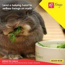 On This World Kindness Day Make The Day More Special For Little Selfless Beings Explore More At Http Bit Ly 2etc World Kindness Day Animal Book Book People
