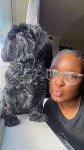 Christmas pics of my babies. Morticia Pugsley and Gomez