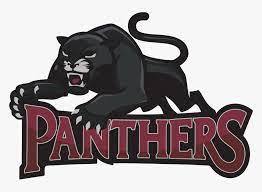 It is a very clean transparent background image and its resolution is 800x580 , please mark the image source when quoting it. Black Panther Clipart Team Logo Neb Panthers Hd Png Download Transparent Png Image Pngitem