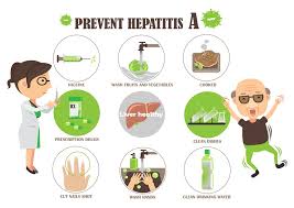 Hepatitis a is very contagious. Hepatitis A Cabell Huntington Health Department