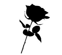 Free Download High Quality Black Rose Png Transparent Vector Image It Is Best To Use In Making White Board Animations W Black Rose Cartoon Grass Cartoon Trees