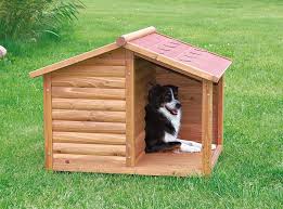 We did not find results for: Diy Dog House Plans And Ideas Your Best Friend Will Absolutely Love