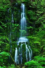 Take a drive around the lake to view beautiful waterfalls, record breaking trees, and breathtaking wildlife. Quinault Rain Forest 6 7 2013 Nature Waterfalls Cts Scenic Photography Beautiful Waterfalls Washington State Travel