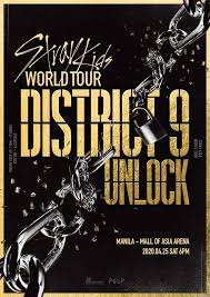 Stray Kids World Tour District 9 Unlock In Manila Ticket Open In 2020 Stray Kids My Heart Hurts