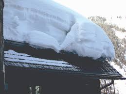 Snow guard - Wikipedia