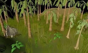 Osrs Fairy Ring Overview