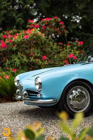 Image result for Blue Seta 2005 Alfa-Romeo