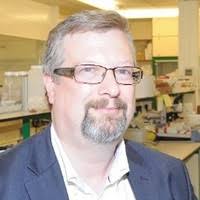 Dave Stock Email & Phone Number