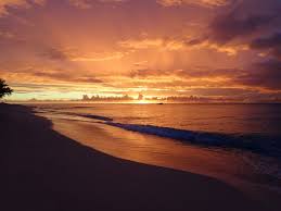 Bimini Beach Rocks Revisited