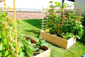 Adorable Backyard Gardening Ideas Philippines Backyard Designs And Excellent Backyard Garden Philippines Backyard Design Backyard Garden Ideas Philippines For potted plants, dissolve 2 tablespoons of epsom salts per gallon of water, and substitute this solution for.