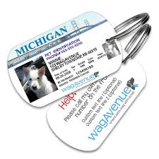 Indoor cats can get lost just as easily as outdoor cats. Driver S License Pet Tags Stainless Steel Pet Id Tags Dog Id Tags Cat Id Tags Keychain Id Jane