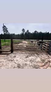 Great school!!! Paid for itself in the first 15 minutes with Wes Larkin  explaining it so we could understand. JJ and Lisa was beyond excellent  hosts and the food at lunch and