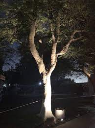 Urban Lighting Lumo Fze Landscape Lighting Outdoor Lighting Garden Lighting Landscape Lighting Outdoor Lighting Cool Lighting