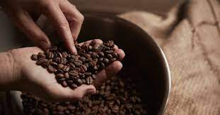 In that way, you'll enjoy more of your. Is It Safe To Eat Coffee Beans Benefits And Dangers