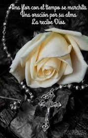 I deeply regret this great loss. Beautiful Rest In Peace Quotes In Spanish 500 Best Arabic Quotes Images Arabic Quotes Quotes Arabic Words Dogtrainingobedienceschool Com