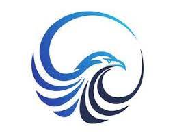 Hawk Logo Eagle Symbol Bird Icon Media Concept Modern Business Vector Design Hawk Logo Bird Logo Design Eagle Symbol