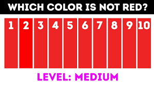 Some may not even be aware that their color perception is in any way different from normal. Brain Games And Eye Tests Color Blind Tests To Challenge Yout Vision Youtube