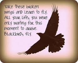 Black Bird Singing In The Dead Of Night Tattoo Blackbird Singing In The Dead Of Night Inspirational Words Quotes Words