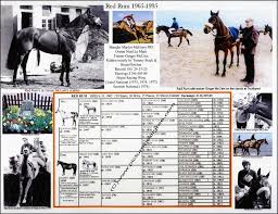 Grand National Legend Red Rum Picture Pedigree Chart