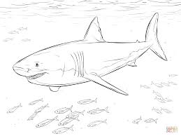 Great White Shark With Pilot Fishes Coloring Page Free Printable Coloring Pages In 2020 Shark Coloring Pages White Sharks Puppy Coloring Pages