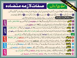 learn quran with tajweed rules with best guidance for kids