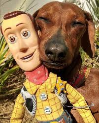 Slinky y Woody