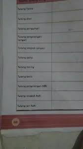 Check spelling or type a new query. Minta Tolong Dong Jawab Kan Dengan Lengkap Fungsi Dari Tulang Tulang Lengan Brainly Co Id