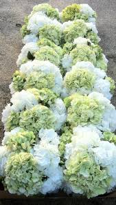 Birthday Lawn Signs Rental Calgary Stunning White Hydrangea Centerpiece White Hydrangea Centerpieces Hydrangeas Wedding Green Hydrangea