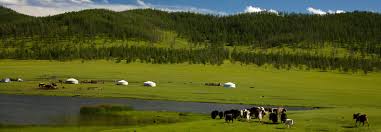 The rangeland team represents more than 200 years of combined midstream experience. No More Neglect Mongolia Says Rangelands Are A Global Priority
