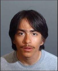 Los Angeles Murders and Homicides