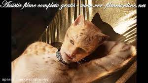 No quinto fim de semana, o filme superou a bilheteria de despicable me 3 e se tornou a segunda maior bilheteria de todos os tempos na china para filmes de animação da disney ou da pixar, ficando atrás apenas de zootopia 86 87 Cats Filme Online Completo Assistir Dublado Legendado