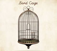 Bird In Bird Bath Drawing Bird Cage Drawing Bird Cages Wallpaper Art Vintage Pretty Etiquetas Vintage Jaulas