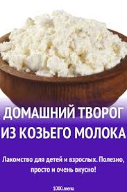 как сделать творог из прокисшего молока в домашних условиях Domashnij Tvorog Iz Kozego Moloka Recept S Foto 1000 Menu
